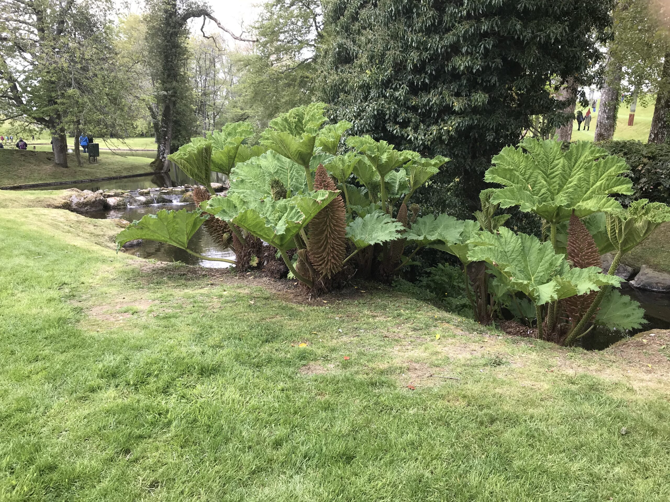 The Garden of Cosmic Delight - Scotland - Earth Project - Susan Fox Art